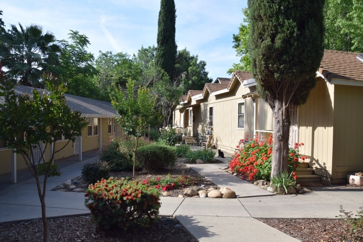 Foto principal - 2115-2135 Waldon St