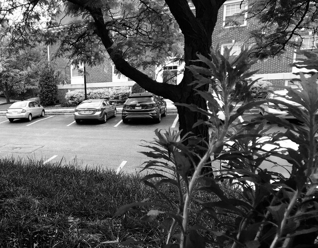 Parking - 349 Homeland Southway
