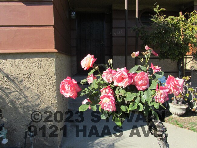 Foto del edificio - 9121 Haas Ave