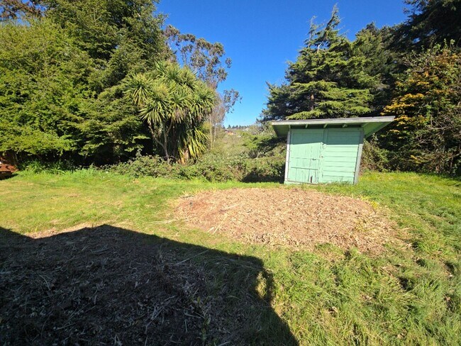 Foto del edificio - 2BD/1BA Pine Hill home on quiet road!