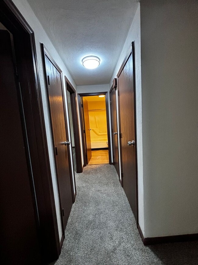 Foto del edificio - Renovated 2 bedroom in peaceful West Milto...