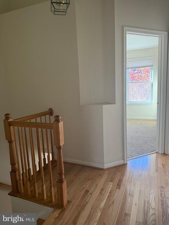 Foto del edificio - 2554 James Madison Cir