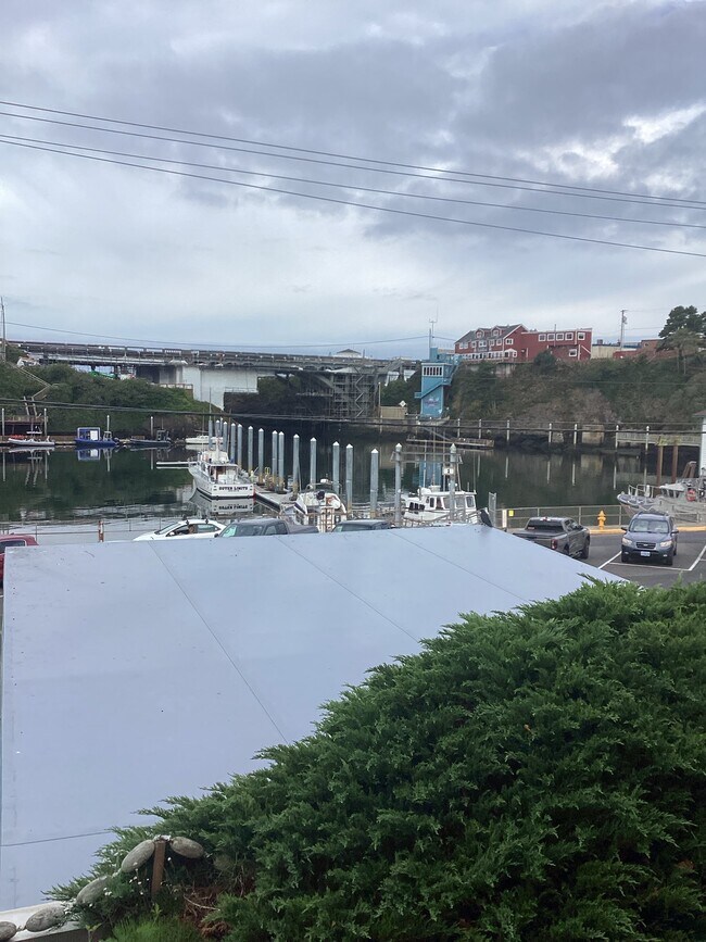 Foto del edificio - 260 Coast Guard Dr