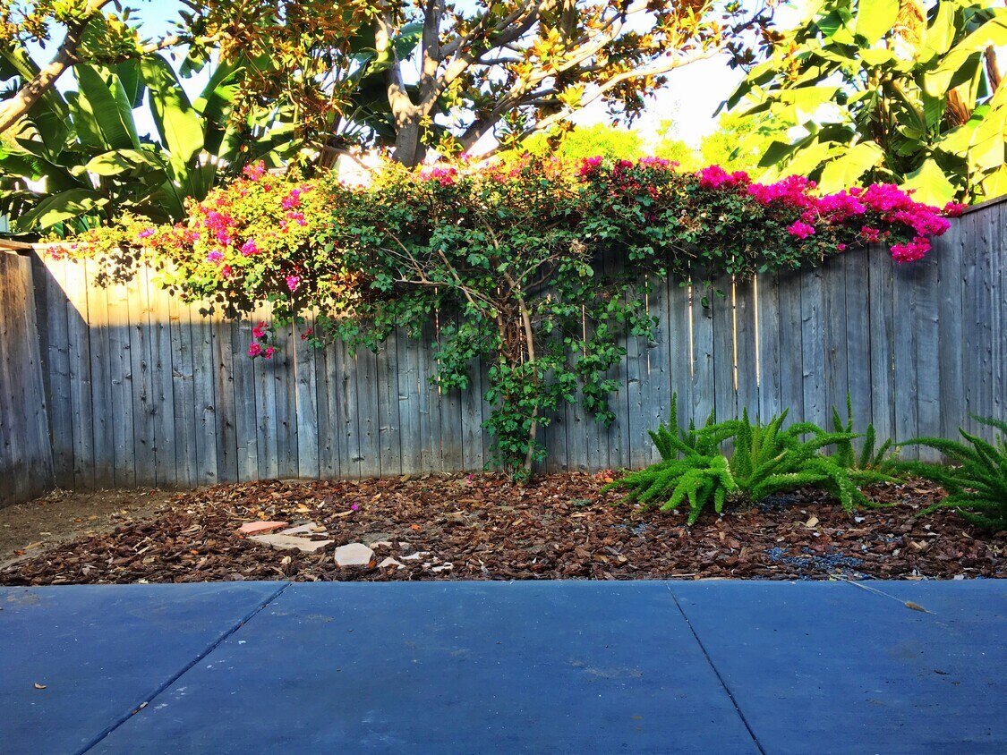 Foto principal - 850 Palm Ave