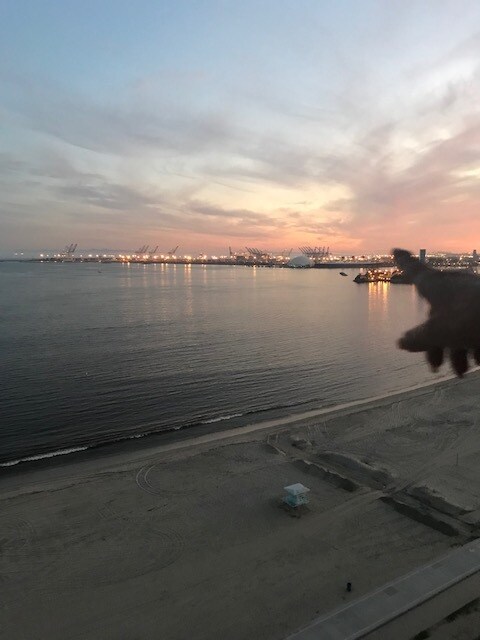 Foto del edificio - 1750 E Ocean Blvd