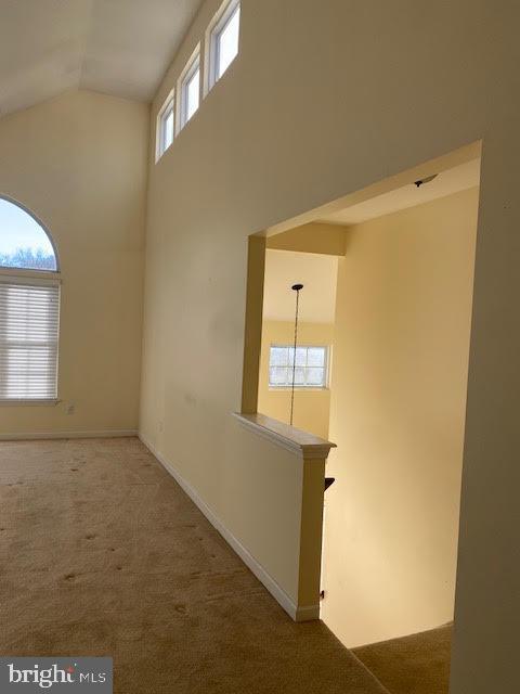 Foto del edificio - 46 Powell Ct