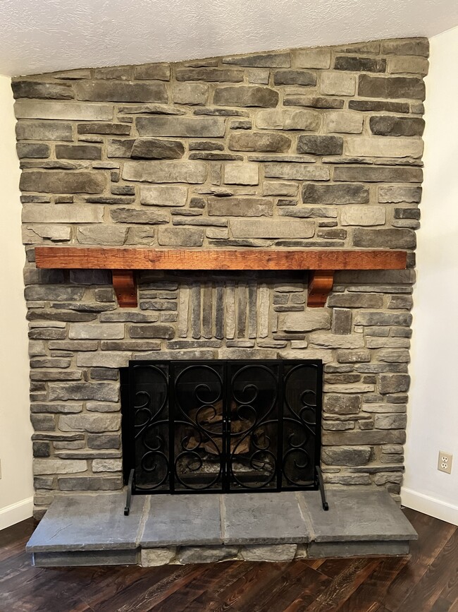 Fireplace - 5425 Bluesky Dr