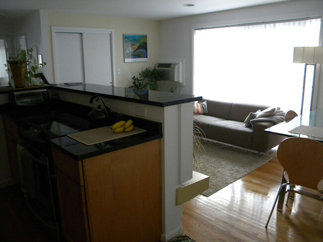 Furnished Kitchen/Living Room - 70 Park St