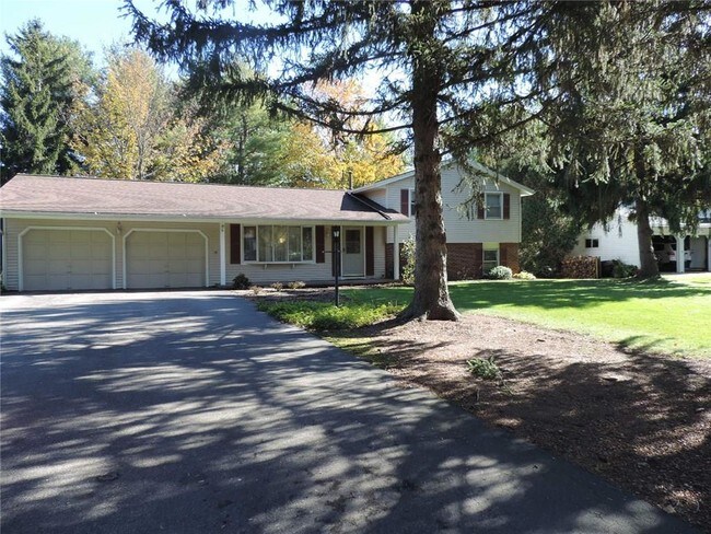 Building Photo - 6 Silver Birch Cir