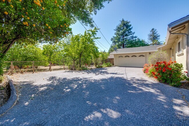 Building Photo - Spacious Home l Massive 12,525 Sq Ft Lot l...