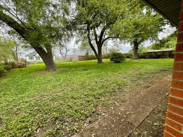 Patio trasero con 3 árboles grandes - 2024 1st St N