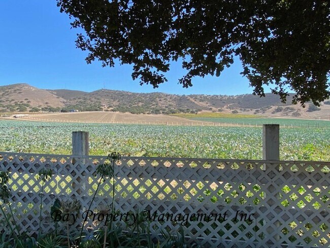 Foto del edificio - Beautiful 3 bedroom in the foothills outside of Gonzales