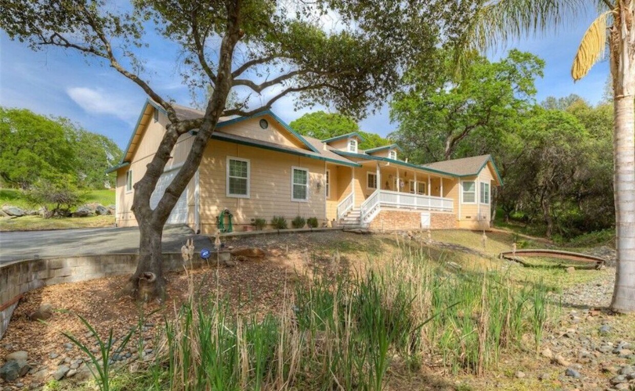 Primary Photo - 449 Silver Leaf Dr