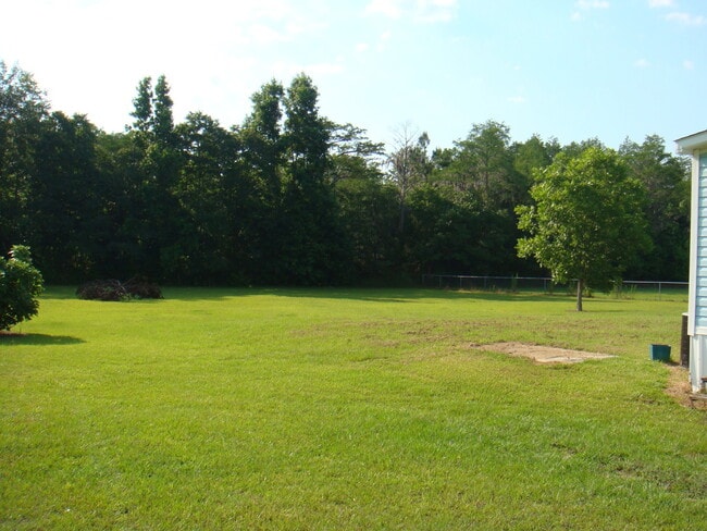 Building Photo - 4244 Cat Creek Rd