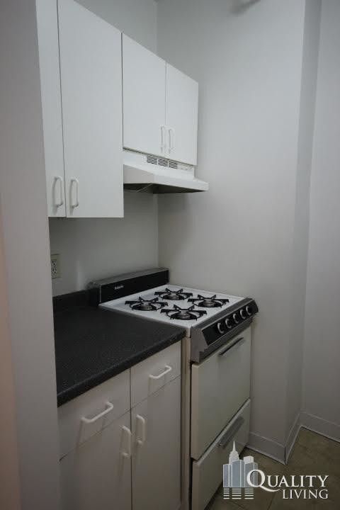 Foto del edificio - 329 W 55th St