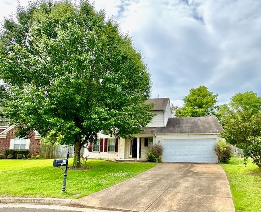 Primary Photo - LaurelManorCv5515