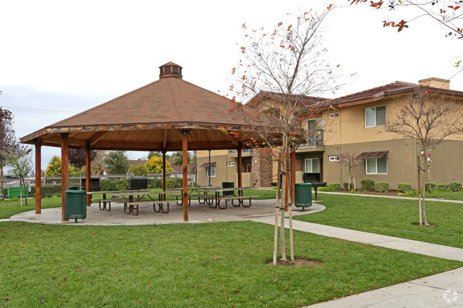 Picnic Area - Tanager Springs II Apartments