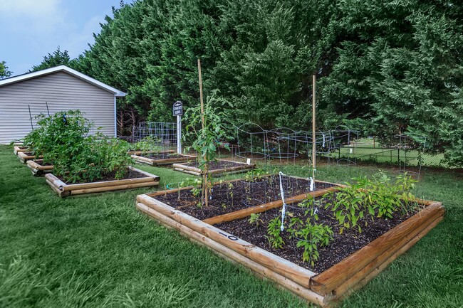 Community Garden - Compass Heights