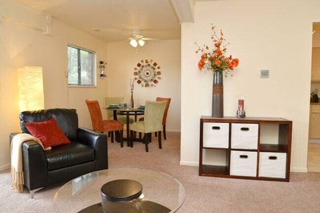 Interior Photo - Broad Ripple Trails