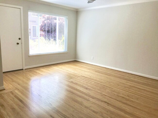 Living Room with Window to Courtyard - 111 Elm St