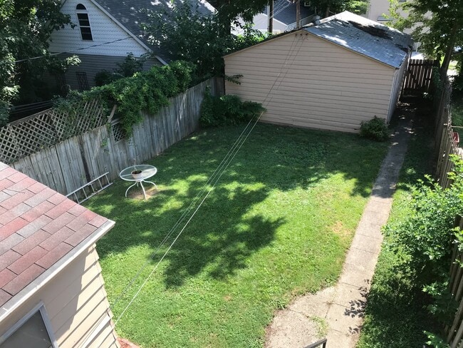Back Yard - 1284 Highland St