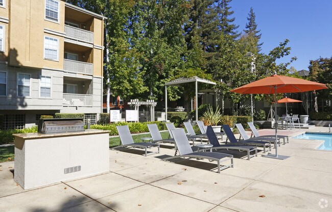 Bella Vista Luxury Apartments Rentals Santa Clara, CA