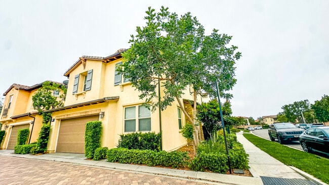 Exterior - Lateral - 24 Clover