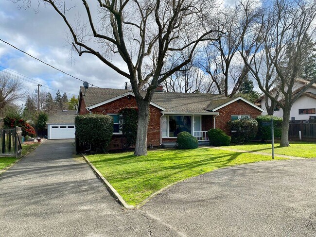 Building Photo - Spacious Single Story on Large Lot