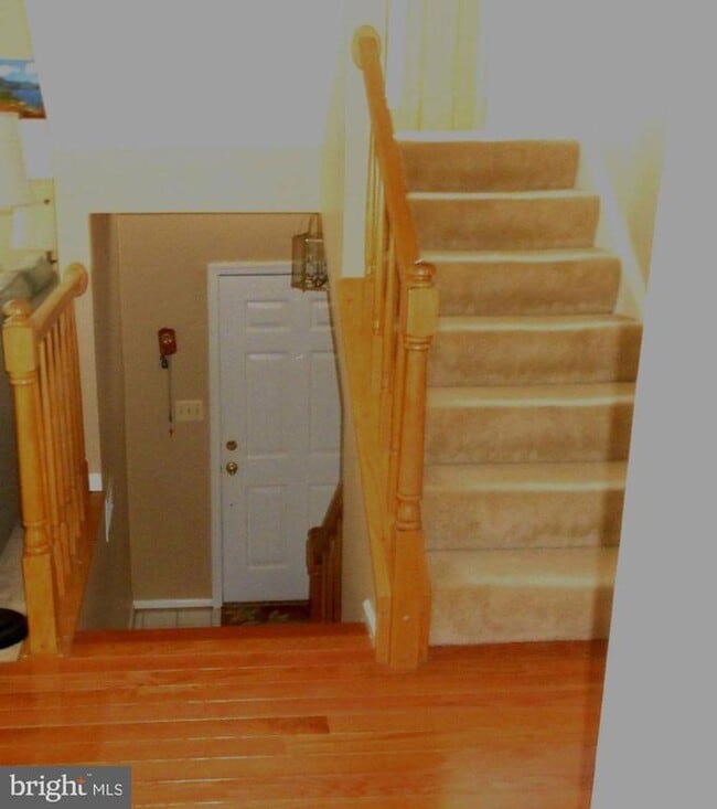 Building Photo - 12020 Lisa Marie Ct