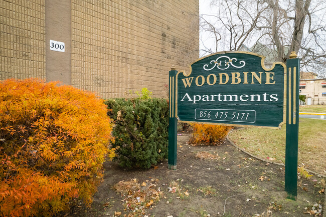 Street Signage - Woodbine