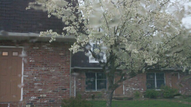 Zona boscosa cerca del centro de Mahomet - 823 E Franklin St