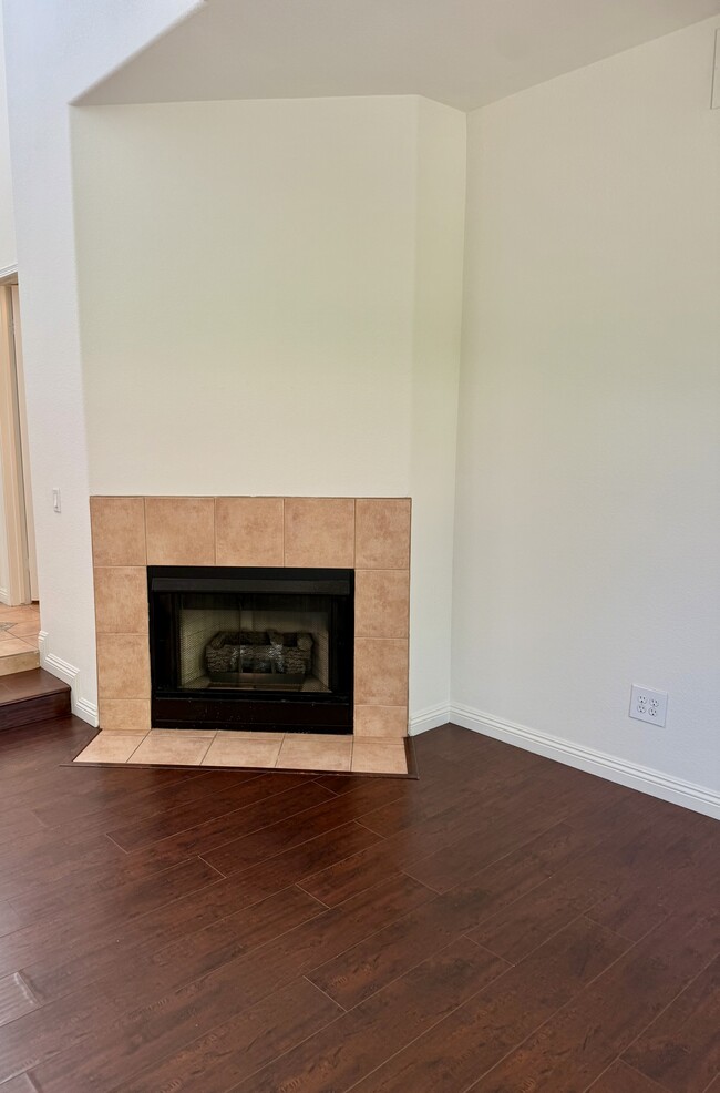 Firepace - 30863 Orleans Ct