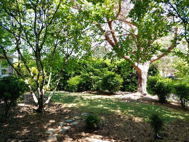 Front Yard - 1715 SE Morgan Ln