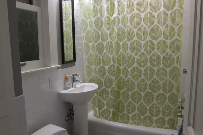 Bathroom - 308 Brookline St.
