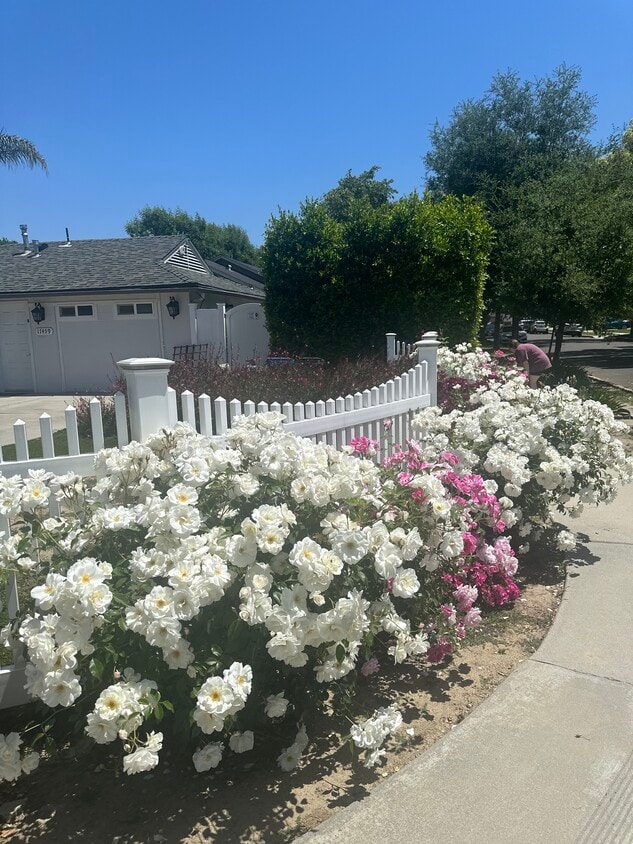 Outside front entrance - 17459 Keswick St (Northridge, CA)