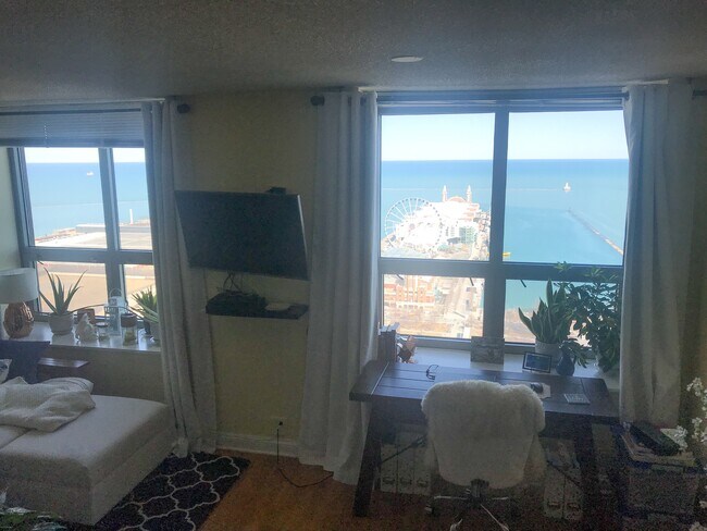 View - 474 N Lake Shore Dr
