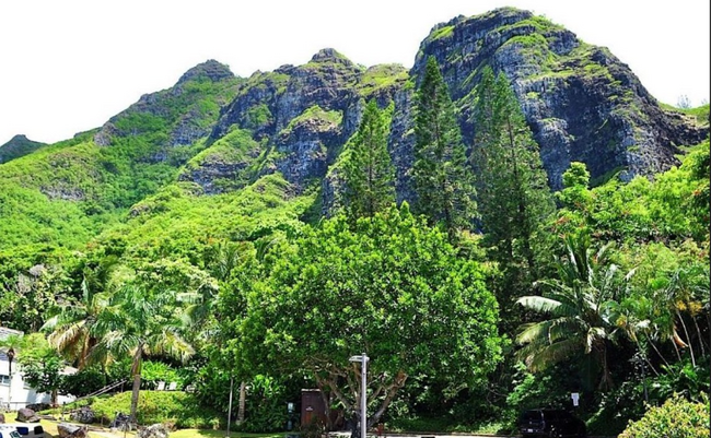 Foto del edificio - 51-636 Kamehameha Hwy