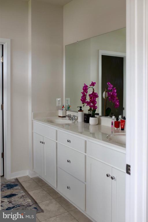 2067LOT1083 Armstrong Ter, JEFFERSONTON, VA 22724 House Rental in