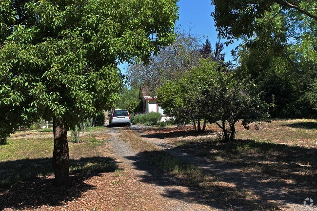 Building Photo - 6490 Lone Pine Rd