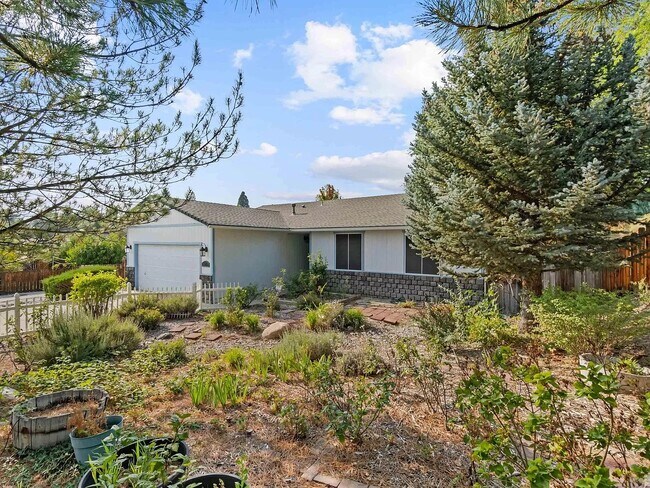 Front Yard Landscape - 1975 Putnam Dr