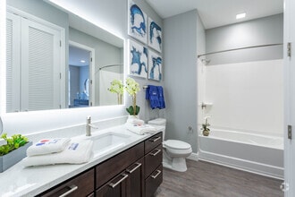 Interior Photo - City Flats Apartments