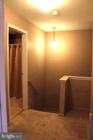 Building Photo - 3105 Hemmingway Dr