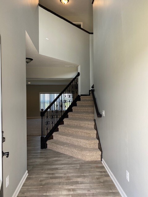 Foto del edificio - 4830 Halsley Ct