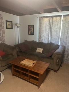 couch and soifa chair for relaxation - 7073 Mewall Dr