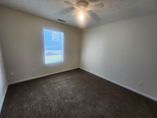 Building Photo - Open Concept 2 Bedroom Triplex