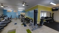 This fitness center offers a thoughtfully designed single-floor workout space combining functionality with a lively aesthetic. The room is characterized by eye-catching wall décor featuring a tropical palm tree mural rendered in soft blue and green tones against a yellow-green accent wall, creating an energetic yet relaxed atmosphere. The flooring consists of light-toned tiles accented with colorful rectangular area rugs in shades of green and blue, adding visual interest while defining workout zones. Overhead, a ceiling fan with an integrated light fixture provides air circulation, complemented by fluorescent strip lighting that ensures the space is well-lit throughout. A large mirror along one wall enhances the sense of space and allows users to monitor their form during exercise. The equipment lineup includes multiple elliptical trainers and a rowing machine arranged in a row for cardio training, alongside a cable strength machine and a dumbbell rack for resistance workouts. Windows allow natural light to filter into the space. An informational bulletin board is visible near the entrance, and a water dispenser station is accessible for user convenience.