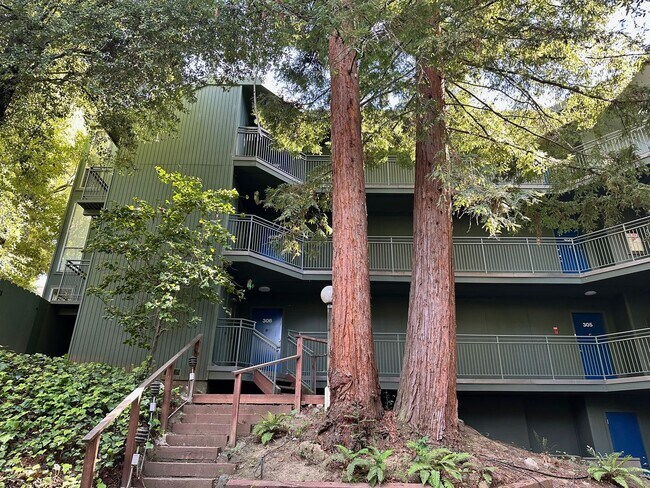 Foto del edificio - Bright Furnished 1BD/1BA Near UC Berkeley – Quiet, Updated & Move-In Ready