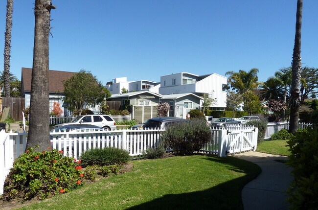 Front Lawn w/ Old Growth Palm Trees - 337 Rennie Ave