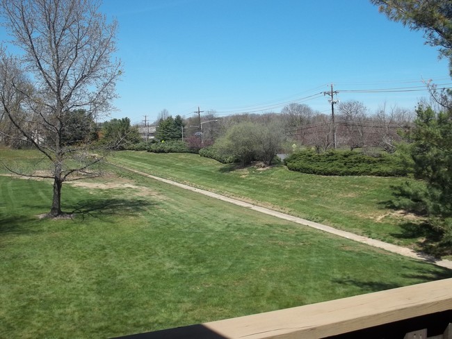 View from deck - 1920 Aspen Dr