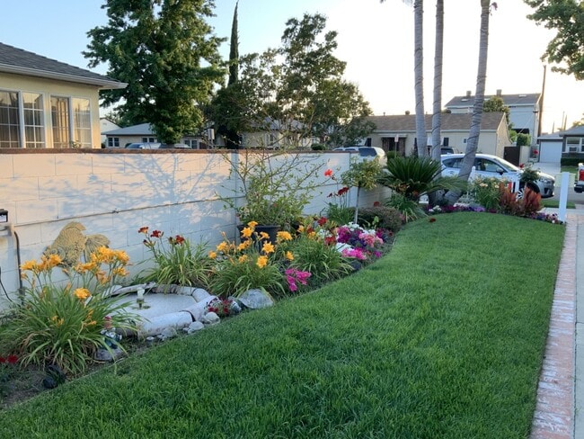 Front Yard - 1912 Jackson St